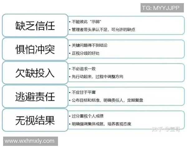 赛后分析广州排球队与南京排球队的团队协作表现与战术执行