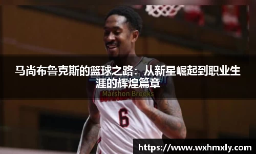 马尚布鲁克斯的篮球之路：从新星崛起到职业生涯的辉煌篇章
