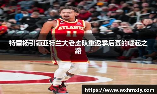 特雷杨引领亚特兰大老鹰队重返季后赛的崛起之路