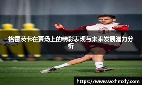 格雷茨卡在赛场上的精彩表现与未来发展潜力分析