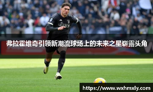 弗拉霍维奇引领新潮流球场上的未来之星崭露头角
