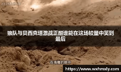 狼队与贝西克塔激战正酣谁能在这场较量中笑到最后