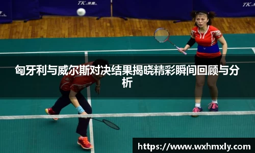 匈牙利与威尔斯对决结果揭晓精彩瞬间回顾与分析