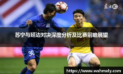 苏宁与延边对决深度分析及比赛前瞻展望